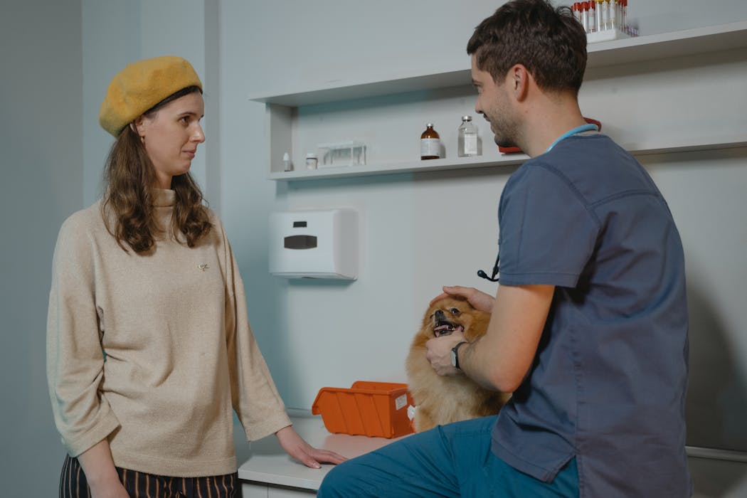 Veterinário do HVPET realizando consulta 24h em Londrina
